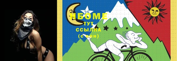 молекула духа Алексеевка