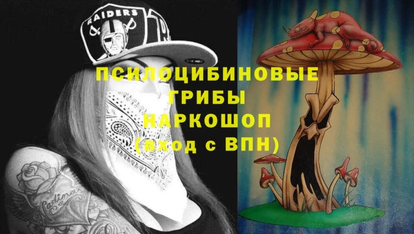 молекула духа Алексеевка