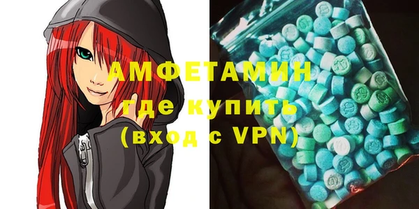 гашик Алексин
