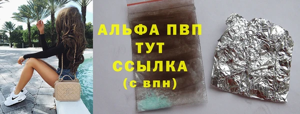 гашик Алексин
