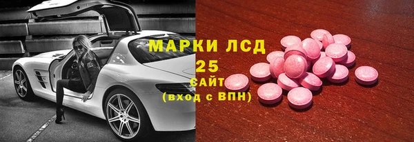 гашик Алексин