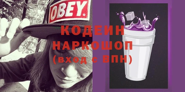 гашик Алексин