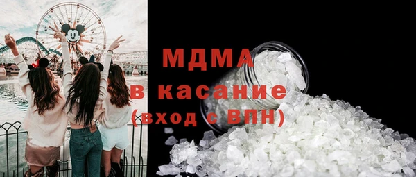 гашик Алексин