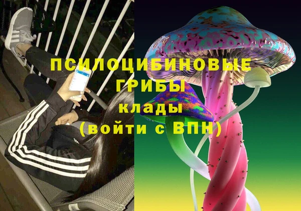 гашик Алексин