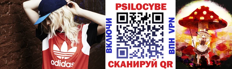 что такое наркотик  Дмитриев  Галлюциногенные грибы Psilocybe 