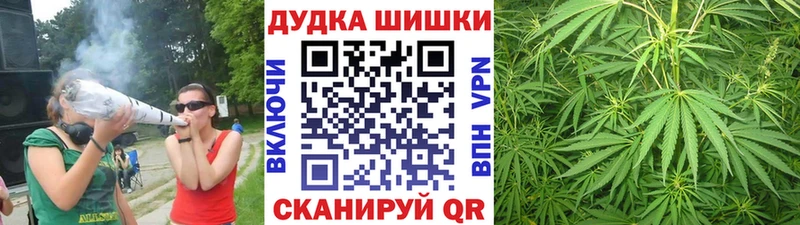 Канабис планчик  наркошоп  Дмитриев 